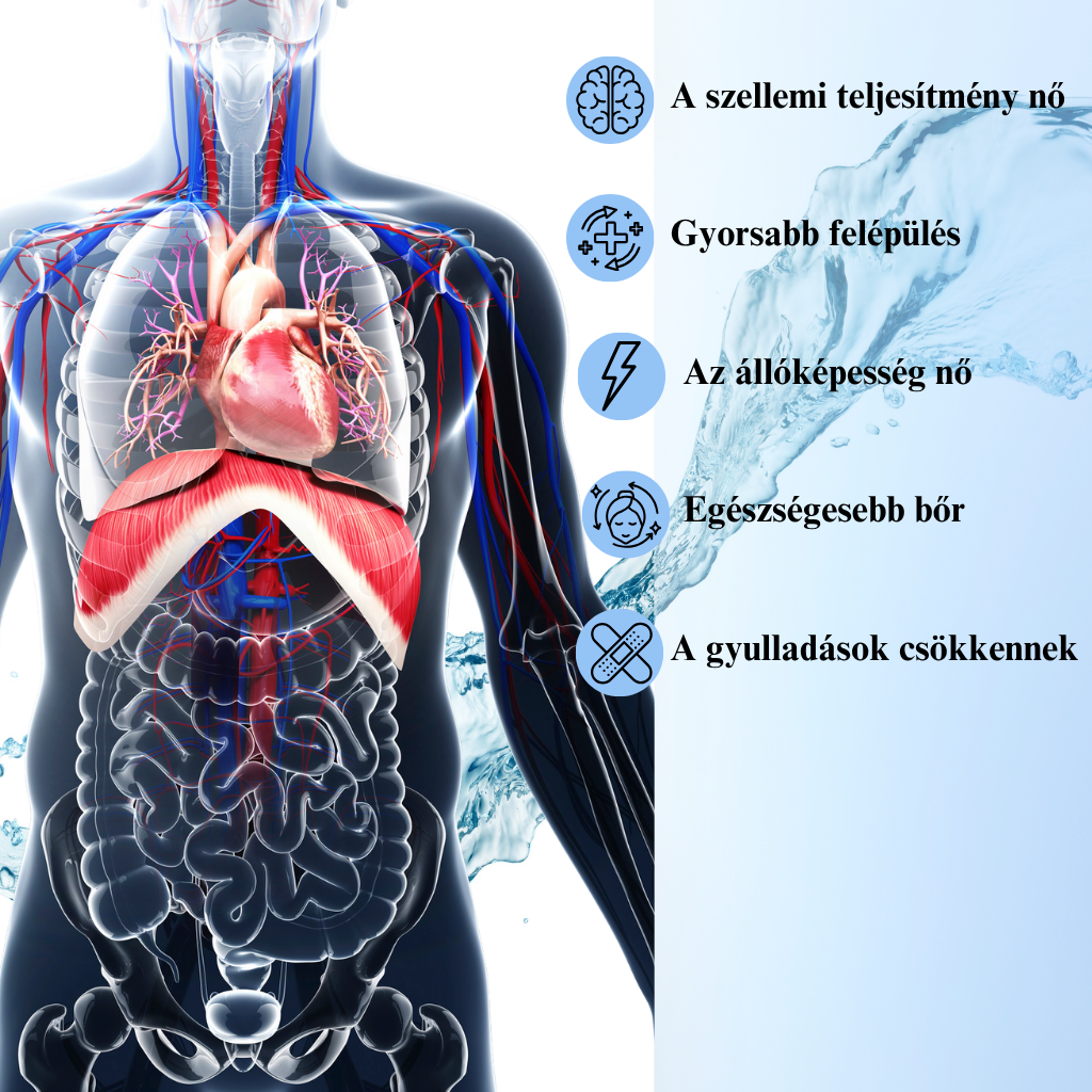 Gyorsabb felépülés sérülések után